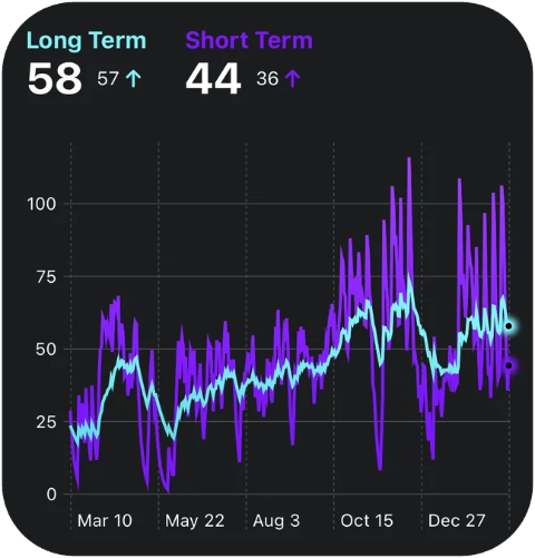 Training Load widget