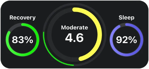 Recovery, Exertion and Sleep widget